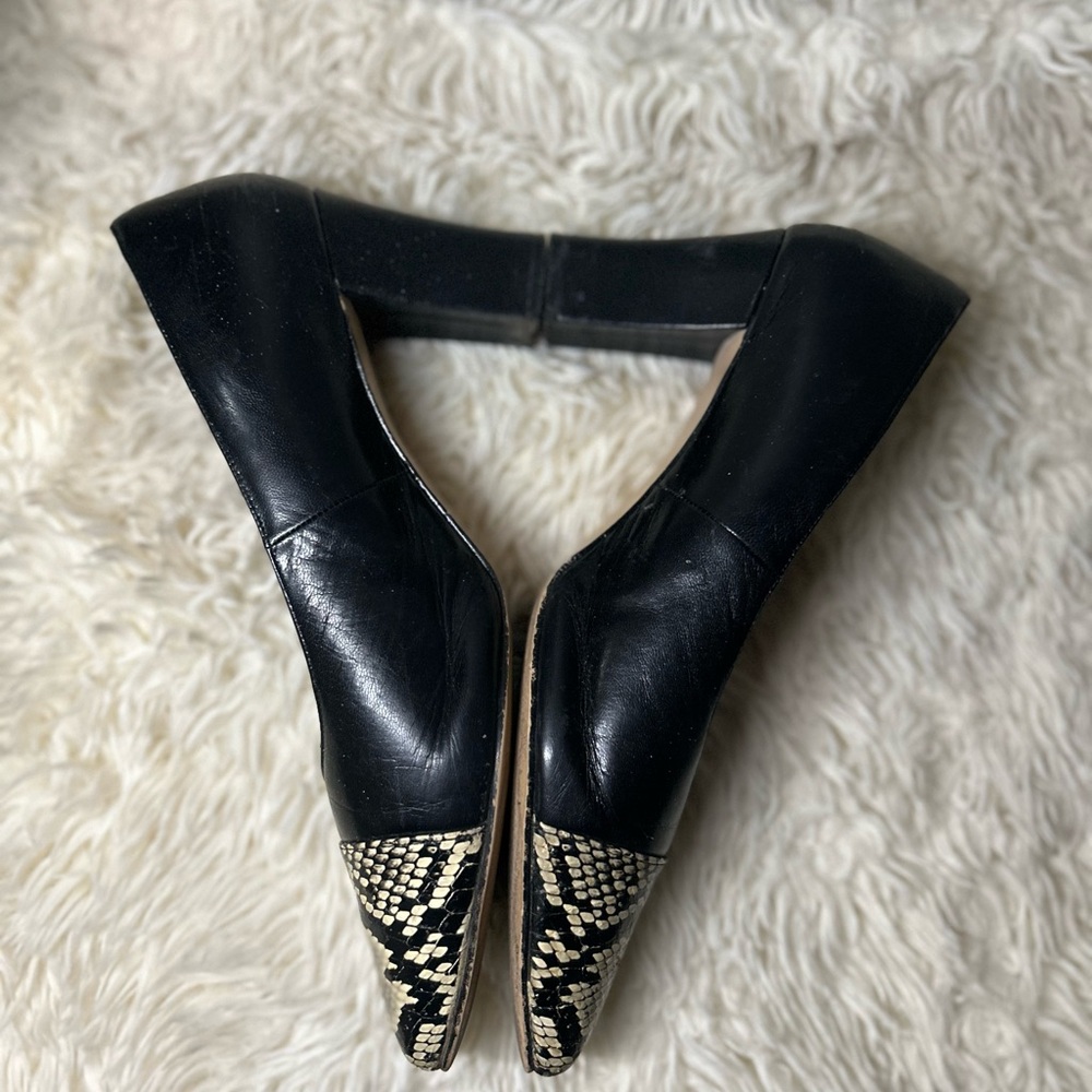 Dress Pump Bundle- 4pair